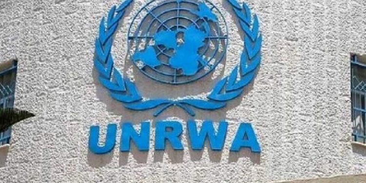 تاکید ایسلند بر ادامه فعالیت آنروا در سرزمینهای اشغالی