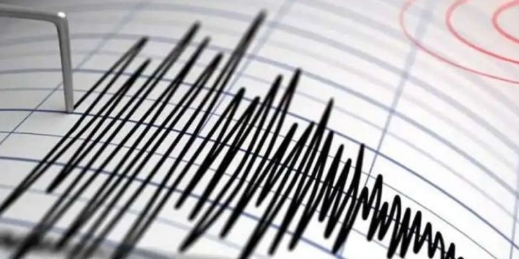 این زمین لرزه جزیره جنوبی نیوزیلند را لرزاند