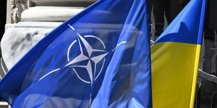 روی پنج وزیر دفاع ناتو بر حمایت اوکراین تمرکز کنید