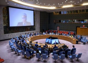 از حمایت ایالات متحده از دو کشور مخالف برنامه اسرائیل برای اشغال غزه