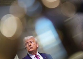 برنامه های اقتصادی ترامپ ، اردوگاه های سیاسی آمریکا