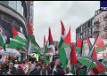 تظاهرات حامیان فلسطین در برلین + فیلم